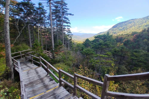 Top or Best Graphic Design Subscription Agencies and Companies in Bedford, New Hampshire