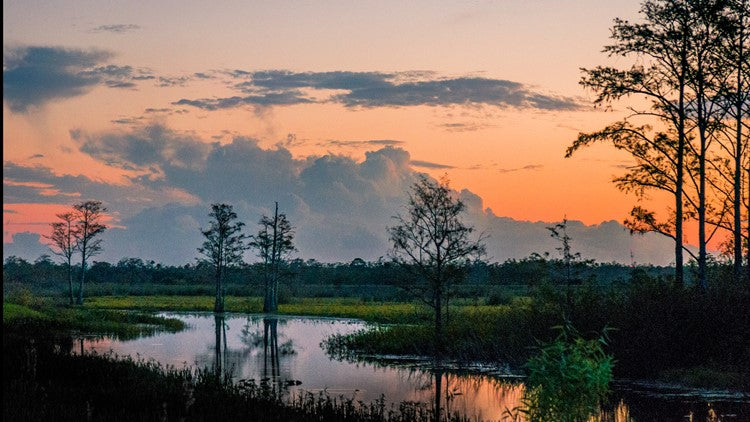 Best X (Twitter) Management Companies in Louisiana