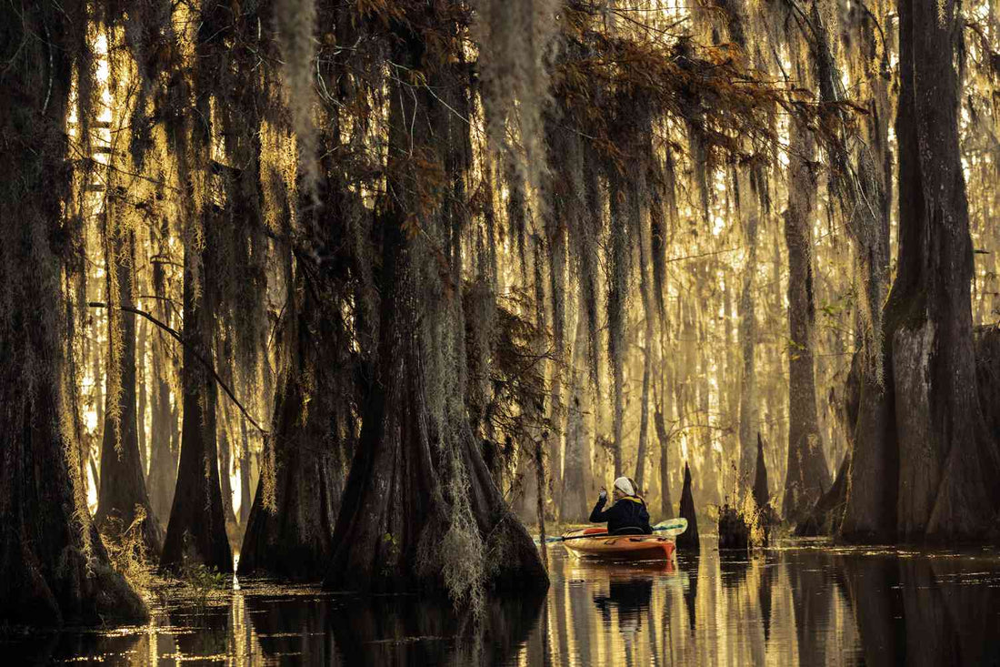 Best Twitch Management Companies in Louisiana