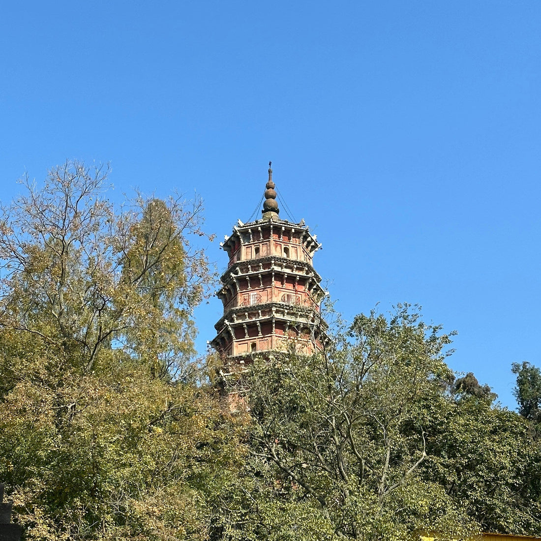 Top or Best Athlete Agencies and Companies in Wuhan, China