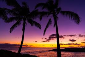 Top or Best Menu Design Agencies and Companies in Makakilo, Hawaii
