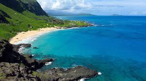 Top or Best NFT Art Agencies and Companies in Makakilo, Hawaii