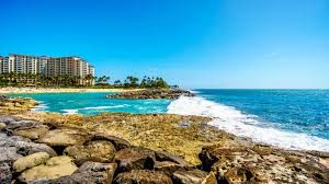 Top or Best Cartoons and Comics Agencies and Companies in Makakilo, Hawaii