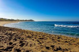Top or Best Tattoo Design Agencies and Companies in Makakilo, Hawaii