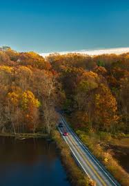 Top or Best Tattoo Design Agencies and Companies in Middletown, Delaware