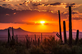 Top or Best Animation and Motion Graphics Agencies and Companies in Maricopa, Arizona