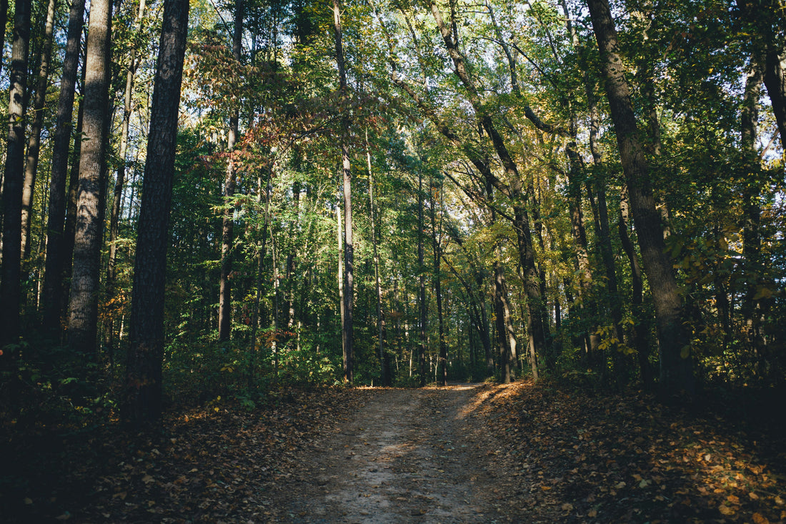 Top and Best Snapchat Management Agencies and Companies in Burlington, North Carolina