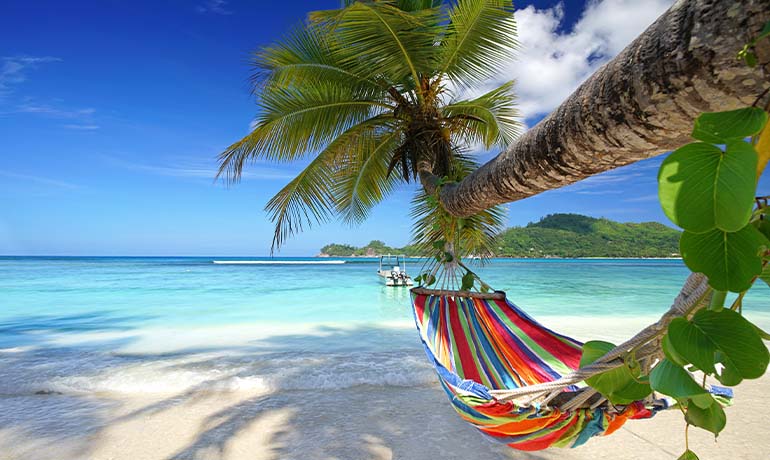 Top or Best Influencer Brand Partnership Agencies and Companies in Seychelles