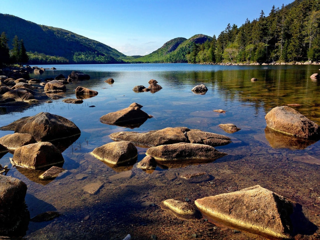 Best Twitch Management Companies in Maine