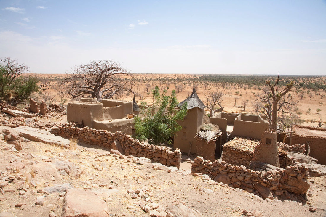 Top or Best Talent Management Agencies and Companies in Mali