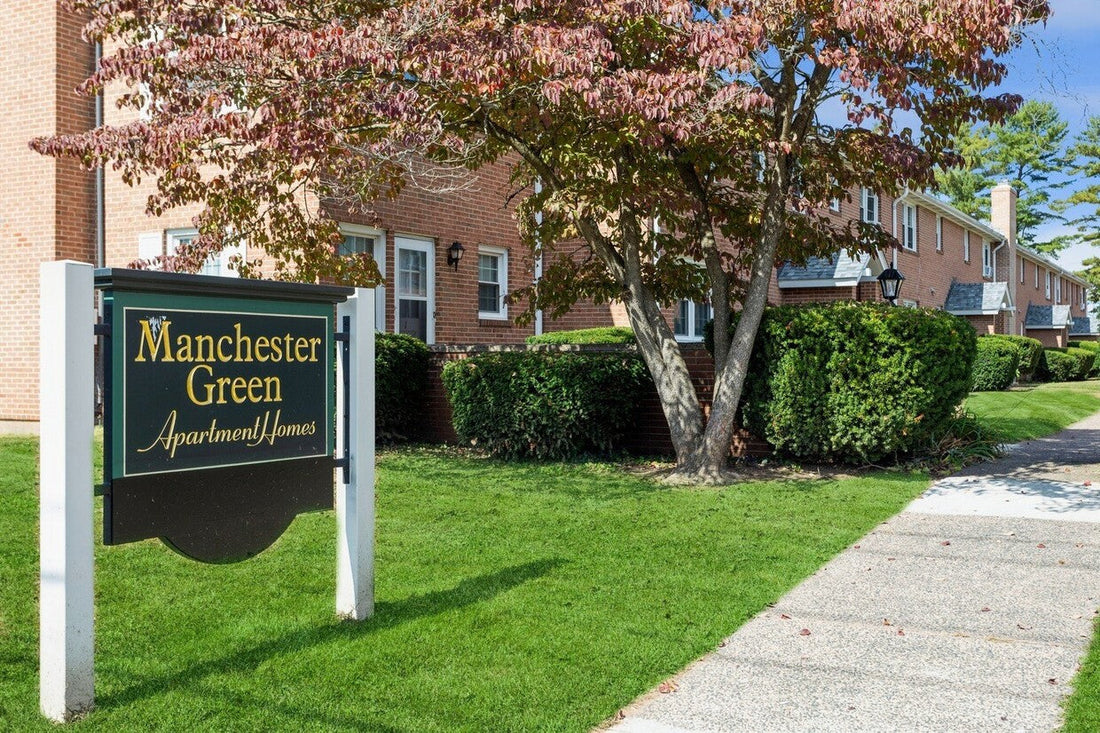 Top or Best Infographic Design Agencies and Companies in Manchester, Connecticut