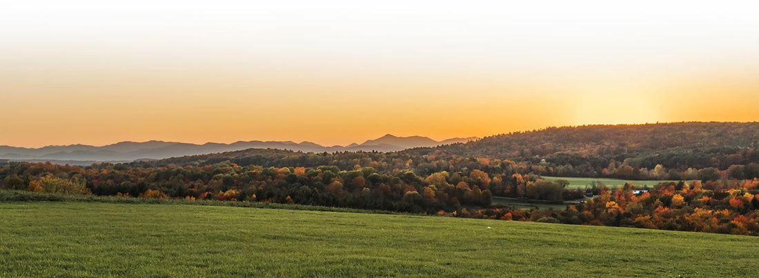 Top or Best X (Twitter) Management Agencies and Companies in Milton, Vermont