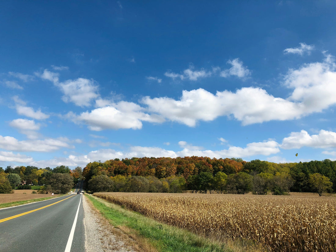 Top or Best App UI/UX Design Agencies and Companies in Lansing, Michigan