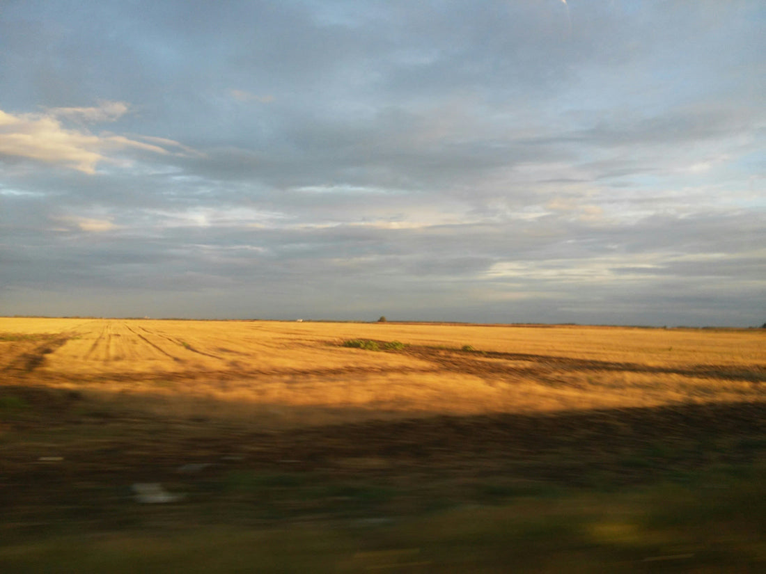 Top or Best Drawing and Illustration Agencies and Companies in Topeka, Kansas