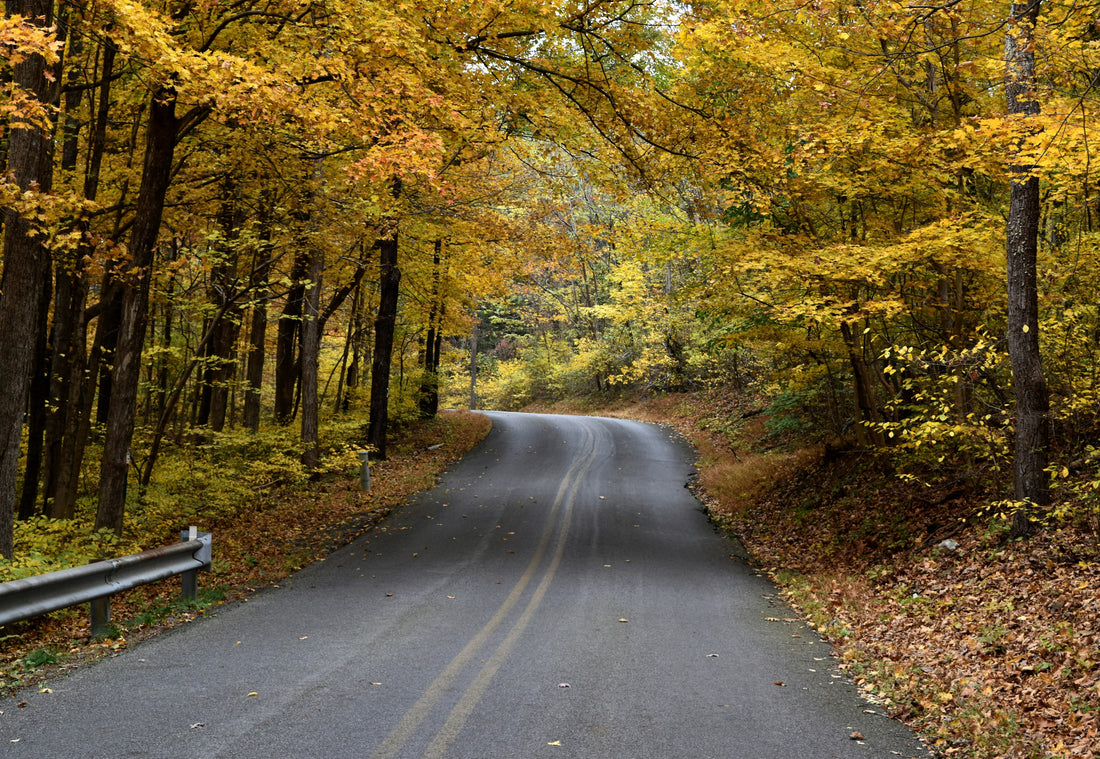 Top or Best Facebook Management Agencies and Companies in Frederick, Maryland