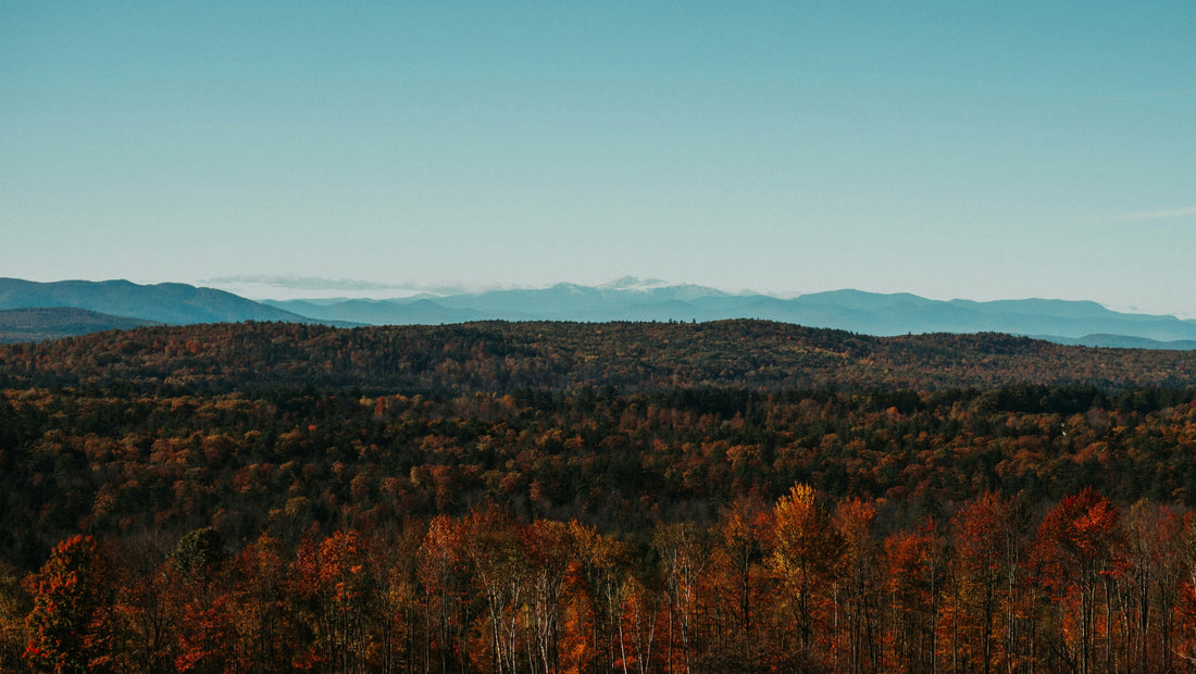 Top and Best Drawing and Illustration Agencies and Companies in Auburn, Maine
