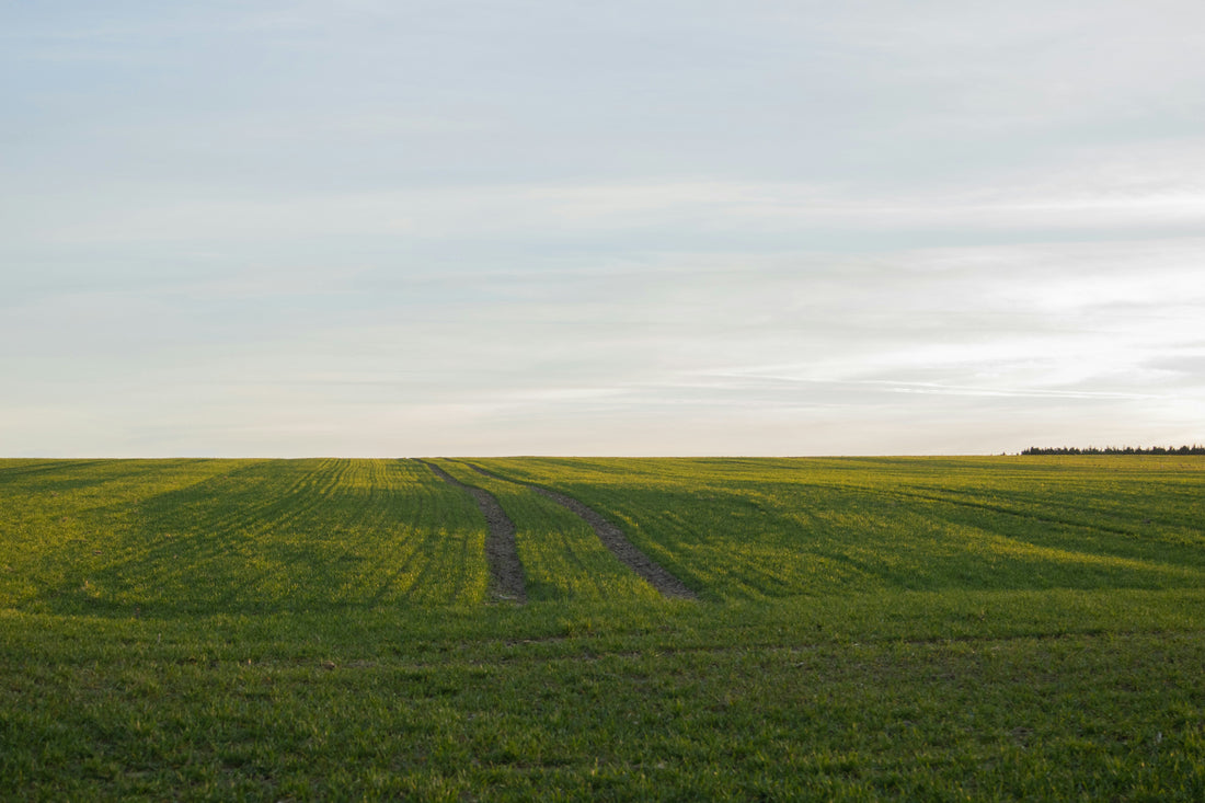 Top or Best Brand Identity Package Agencies and Companies in Emporia, Kansas