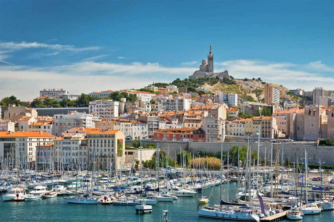 Top or Best YouTube Management Agencies and Companies in Marseille, France