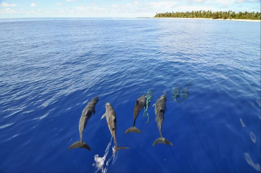 Top or Best Athlete Management Agencies and Companies in Marshall Islands