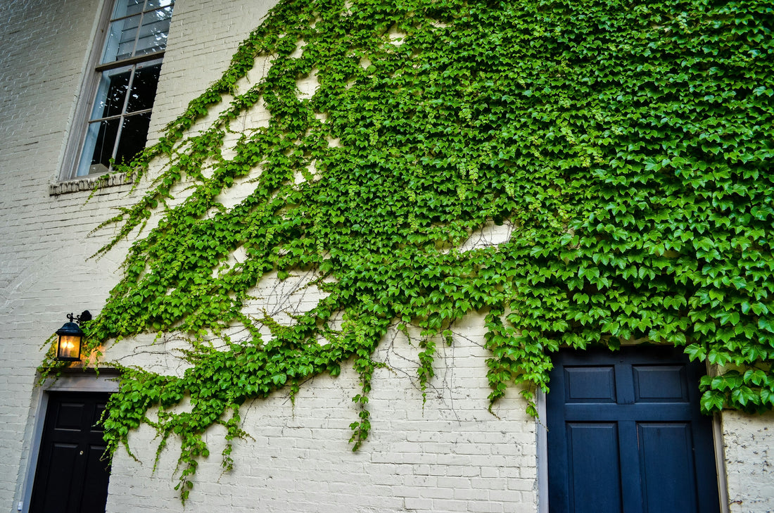 Top and Best Copywriting Agencies and Companies in Alexandria, Virginia