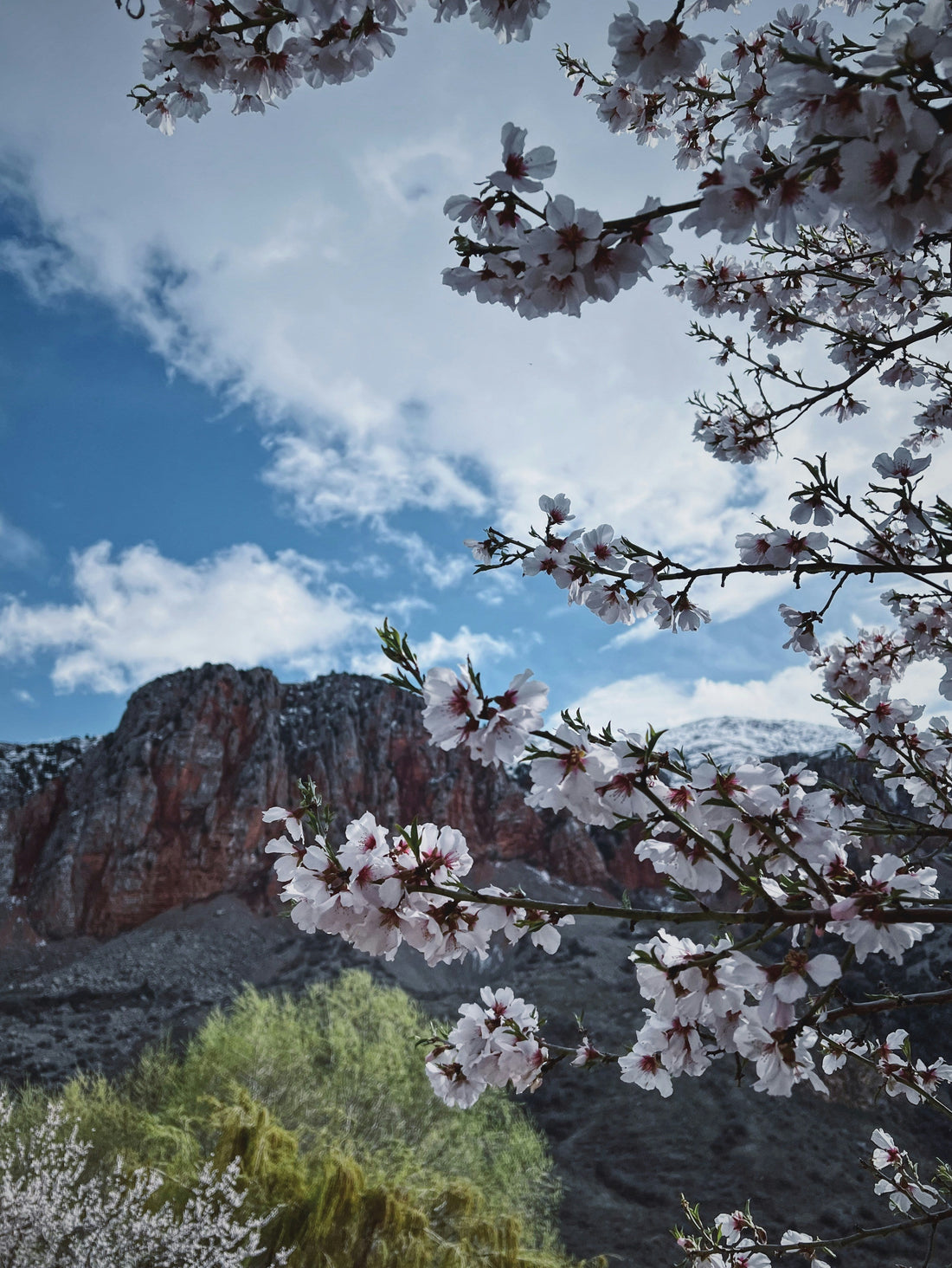 Top or Best Catalog Design Agencies and Companies in Spring Valley, Nevada