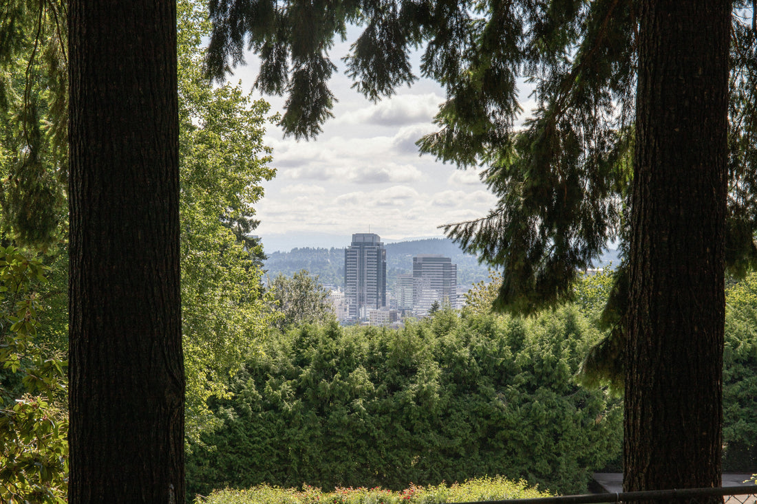Top and Best Postcard Design Agencies and Companies in Portland, Oregon