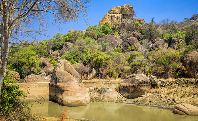 Top or Best Influencer Brand Partnership Agencies and Companies in Zimbabwe