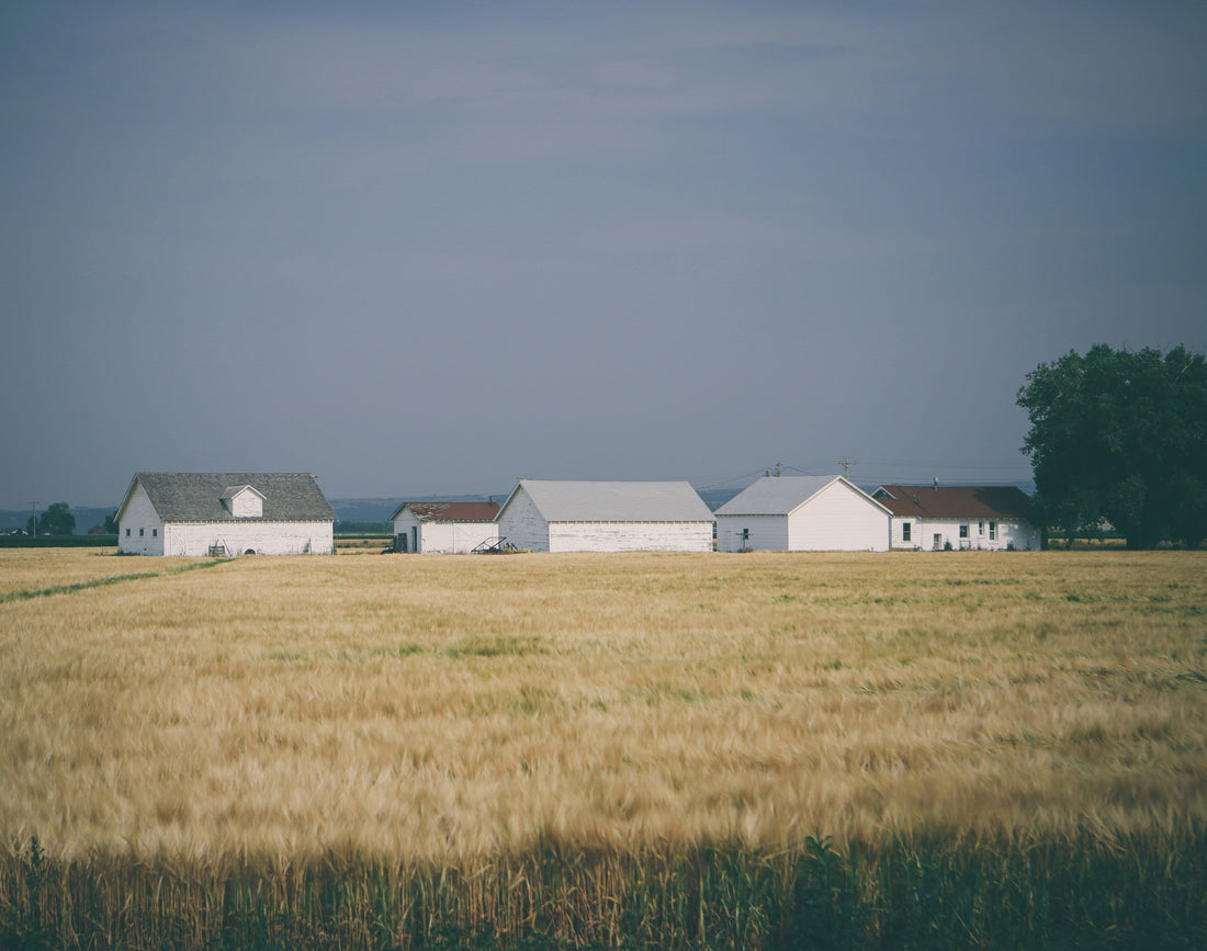 Top and Best Copywriting Agencies and Companies in Oshkosh, Wisconsin