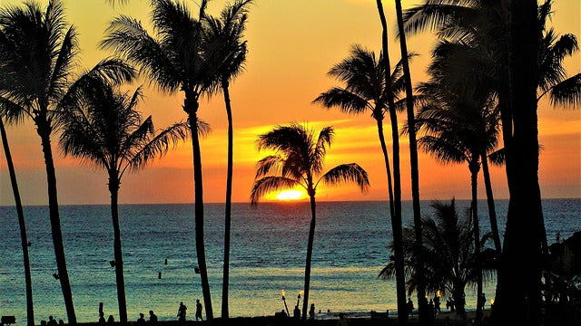 Top 5 Brochure Design Agencies in Hawaii