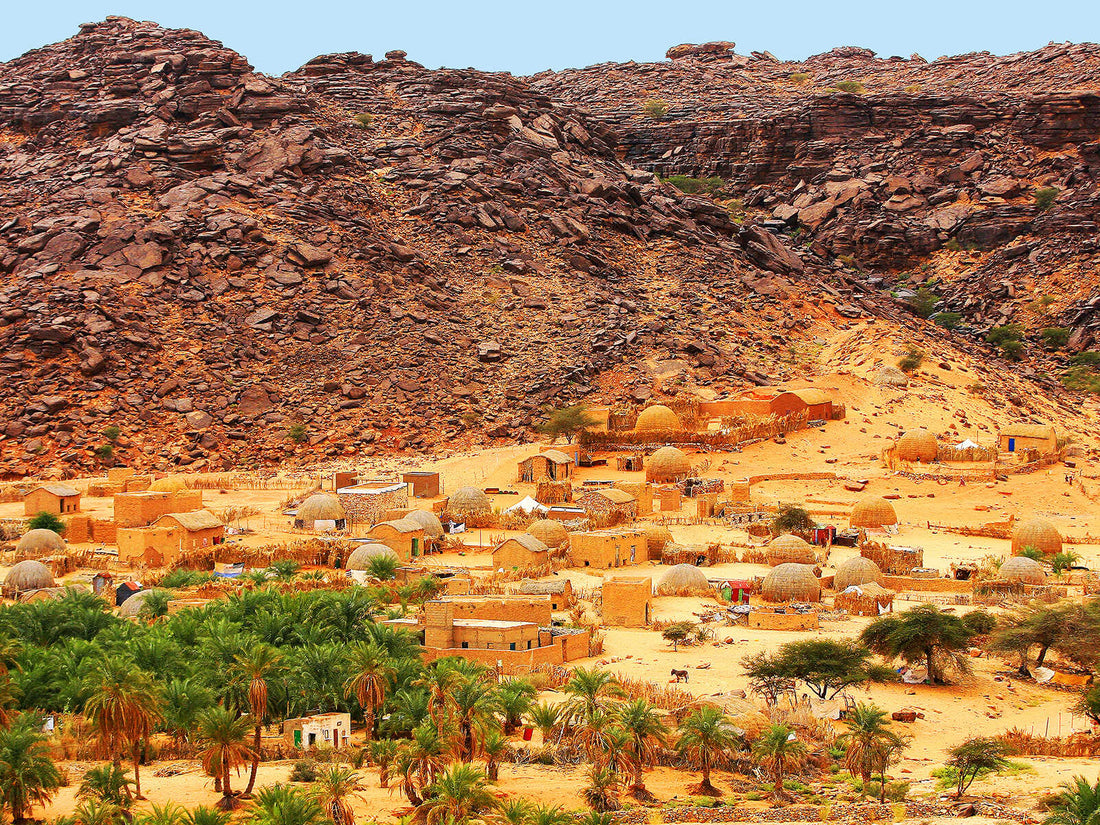 Best TikTok Management Companies in Mauritania