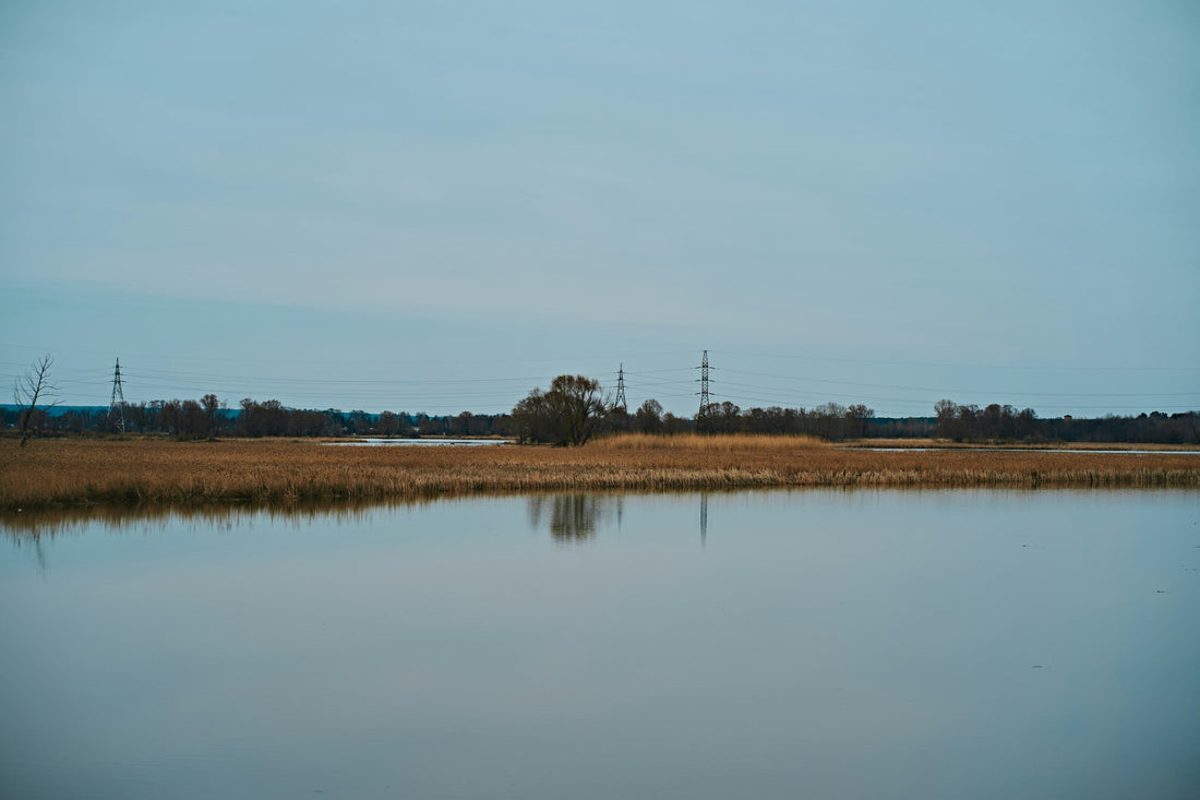 Top and Best Instagram Management Agencies and Companies in Suffolk, Virginia