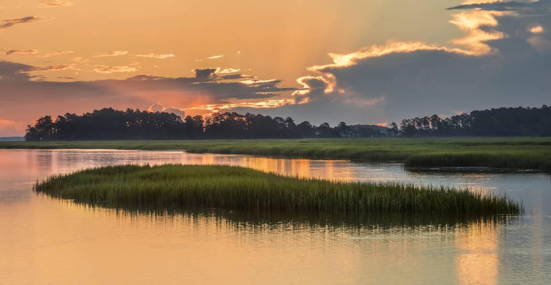 Top or Best LinkedIn Management Agencies and Companies in Bluffton, South Carolina