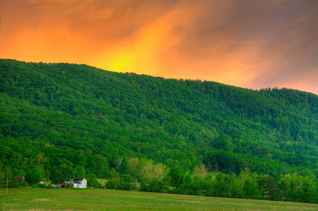 Top or Best Snapchat Management Agencies and Companies in Martinsburg, West Virginia