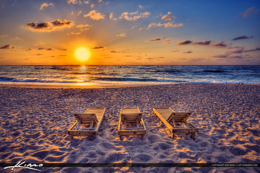 Top or Best Menu Design Agencies and Companies in Sunrise, Florida