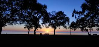 Top or Best Mural Design Agencies and Companies in Sunrise, Florida