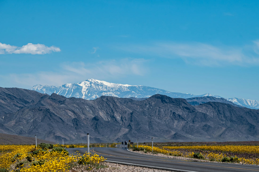 Top or Best Brand Identity Package Agencies and Companies in Spring Valley, Nevada