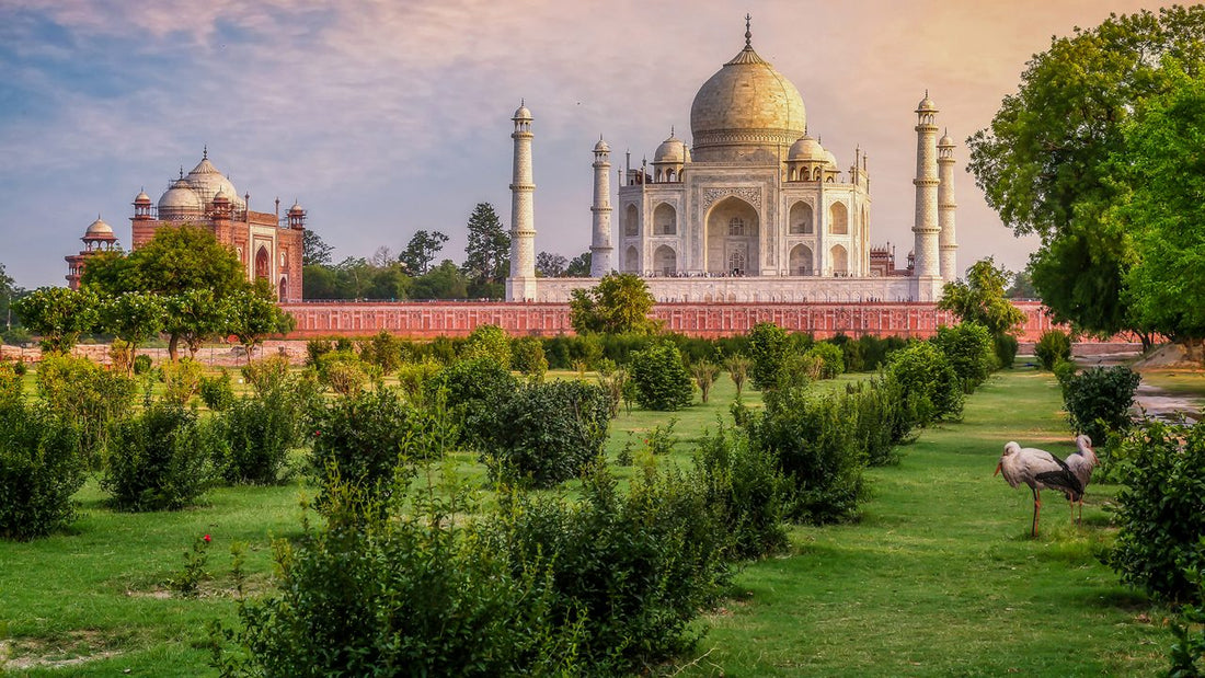 Top or Best Talent Management Agencies and Companies in India