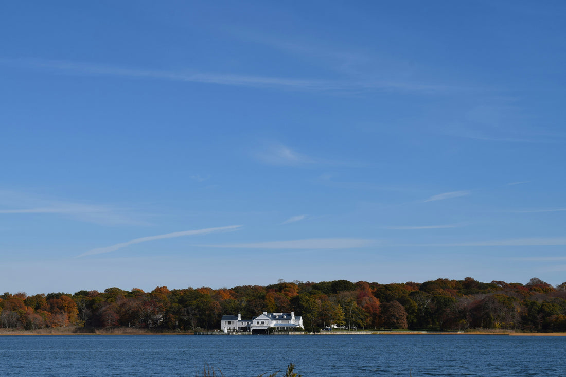 Top or Best Copywriting Agencies and Companies in Potomac, Maryland