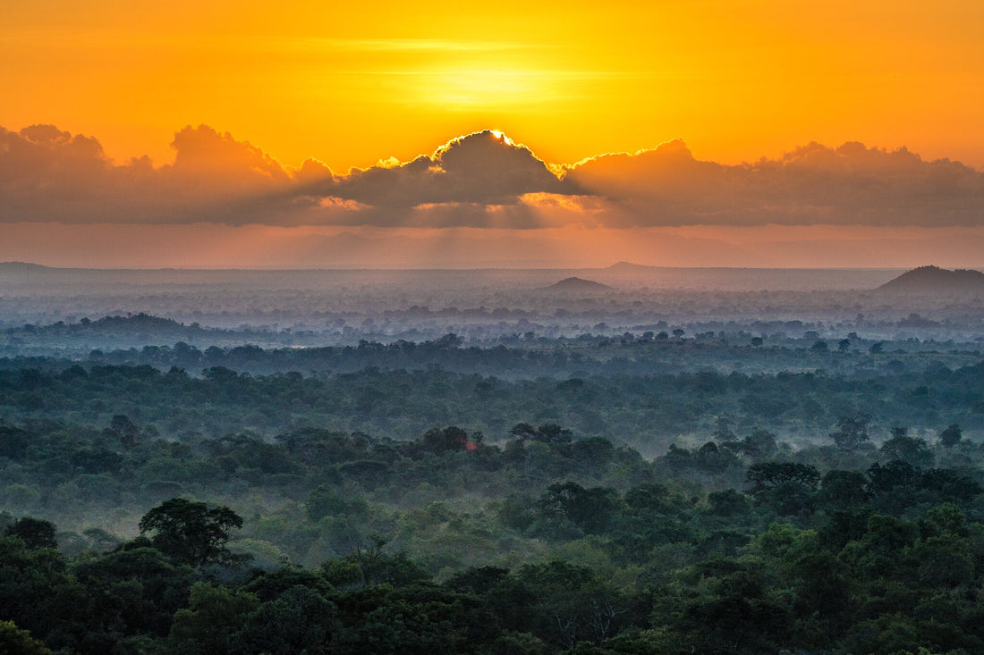 Top 5 Catalog Design Agencies in Malawi