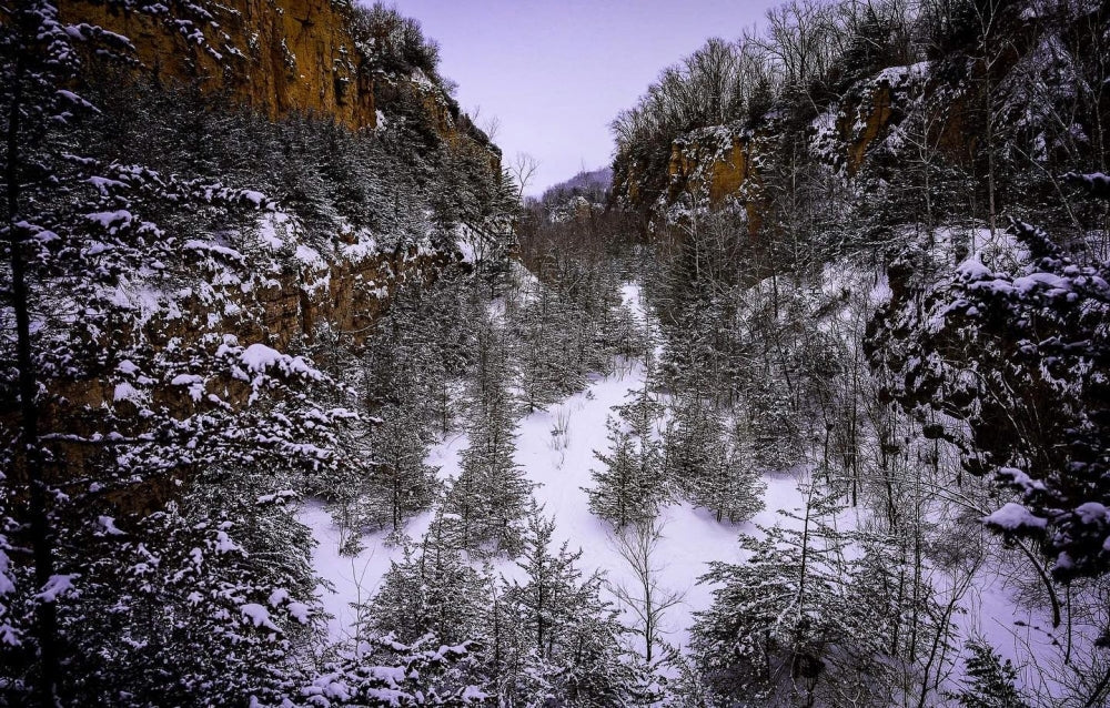 Top or Best Social Media Design Agencies and Companies in Dubuque, Iowa