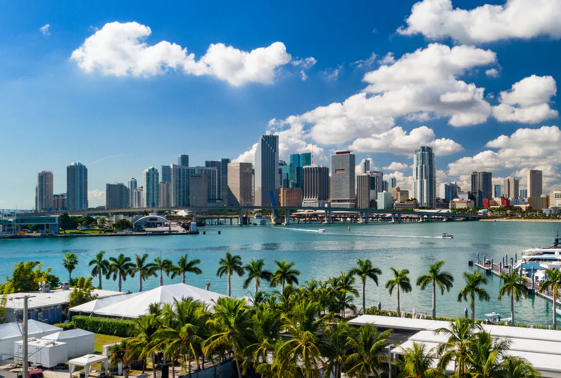 Top or Best Website Design Agencies and Companies in Miami, Florida