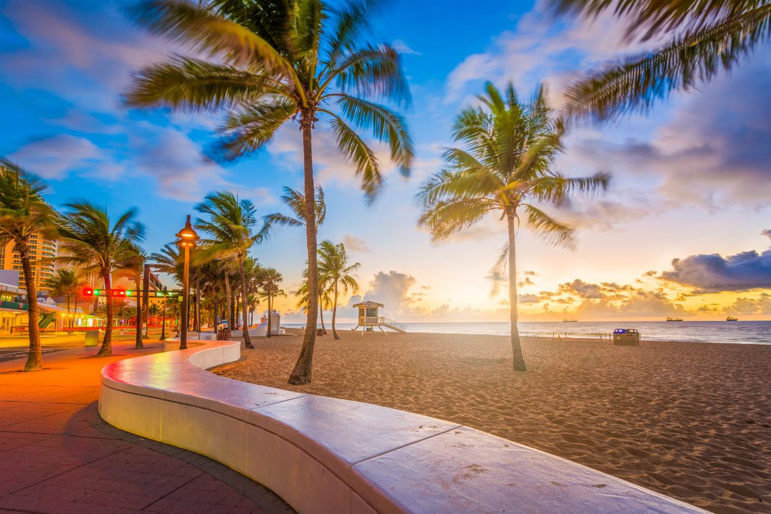 Top or Best Flyer Design Agencies and Companies in Miami, Florida