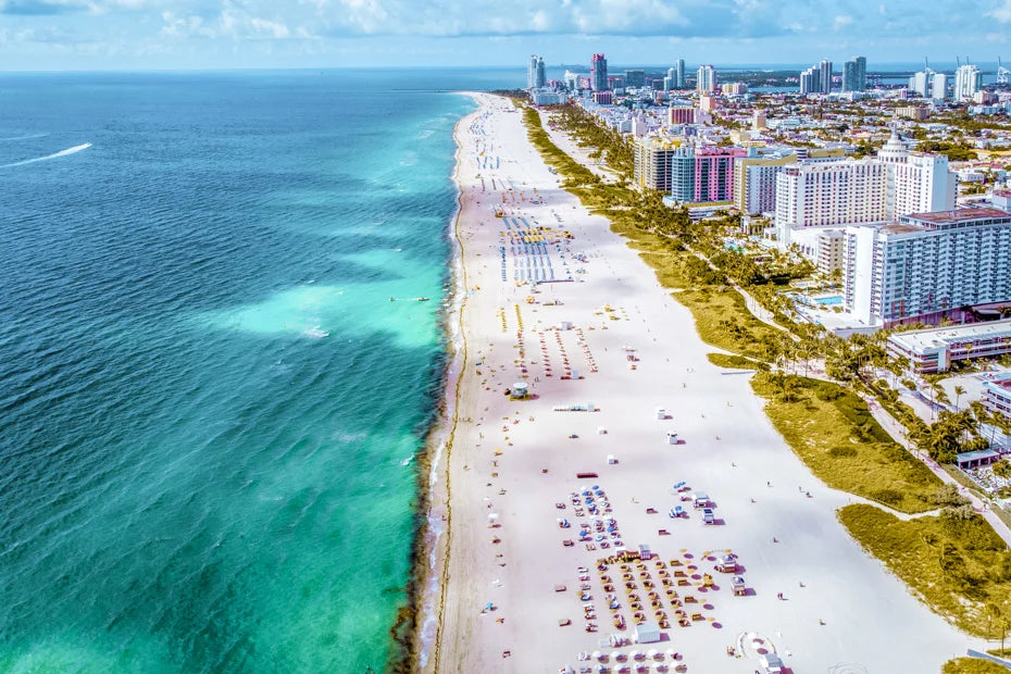 Top or Best Brochure Design Agencies and Companies in Miami, Florida