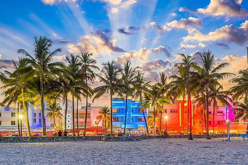 Top or Best Poster Design Agencies and Companies in Miami, Florida