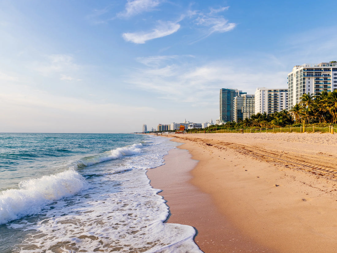 Top or Best Logo Design Agencies and Companies in Miami, Florida