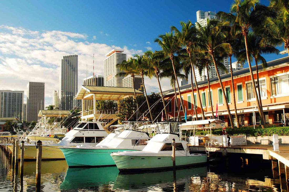Top or Best NFT Art Design Agencies and Companies in Miami, Florida