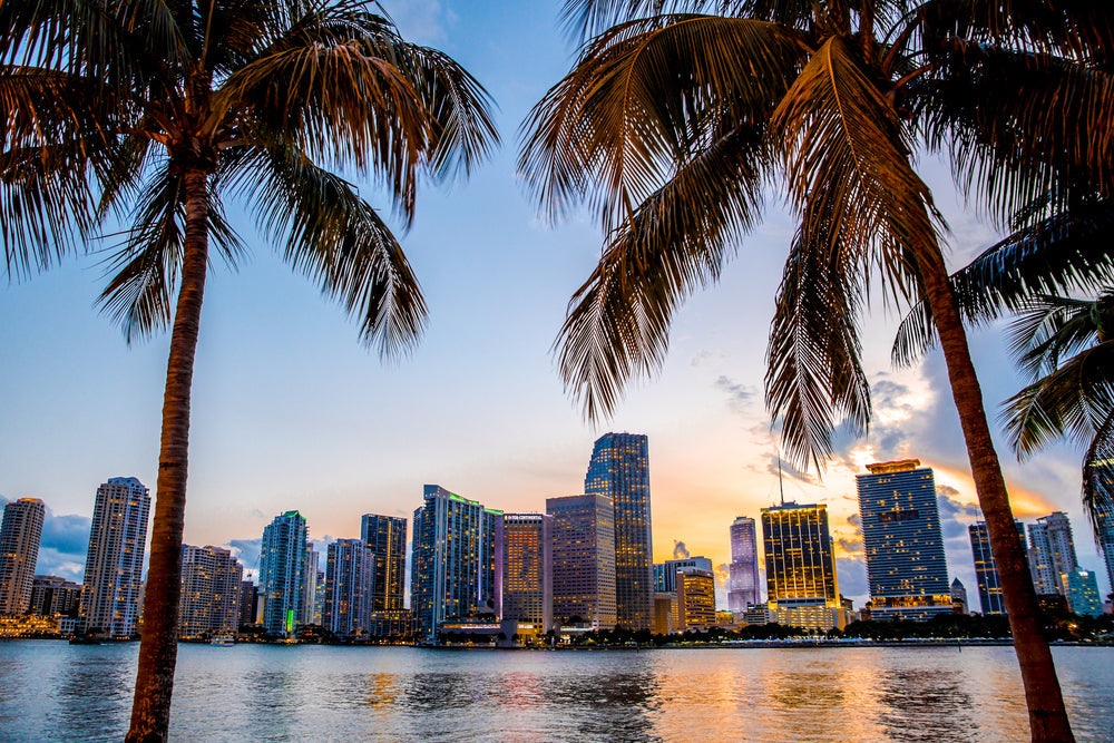 Top or Best Business Card Design Agencies and Companies in Miami, Florida