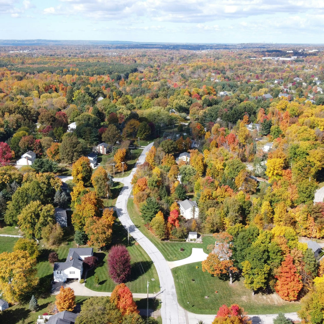 Top or Best Poster Design Agencies and Companies in Lansing, Michigan