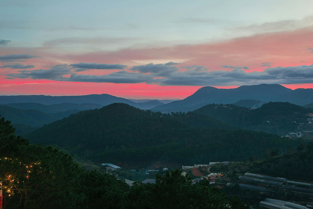 Top and Best Postcard Design Agencies and Companies in Burlington, North Carolina