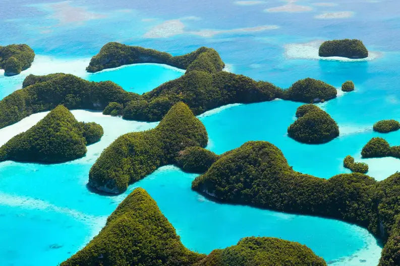 Best TikTok Management Companies in Micronesia